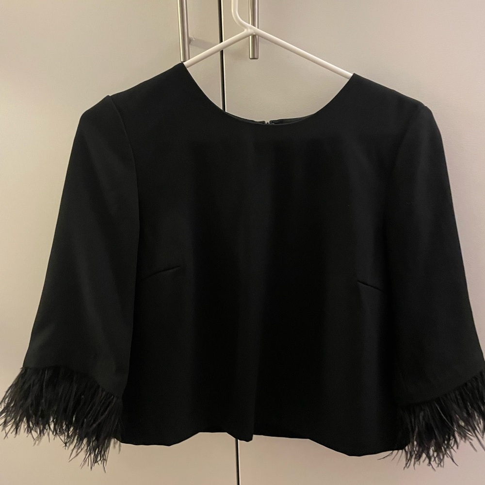 Club Monaco feather sleeve top